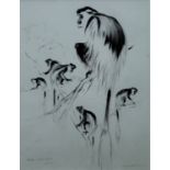 THOMPSON, RALPH SHILLITO (1913-2009) British (AR), Black and White Colobus, Uganda, ink, signed,