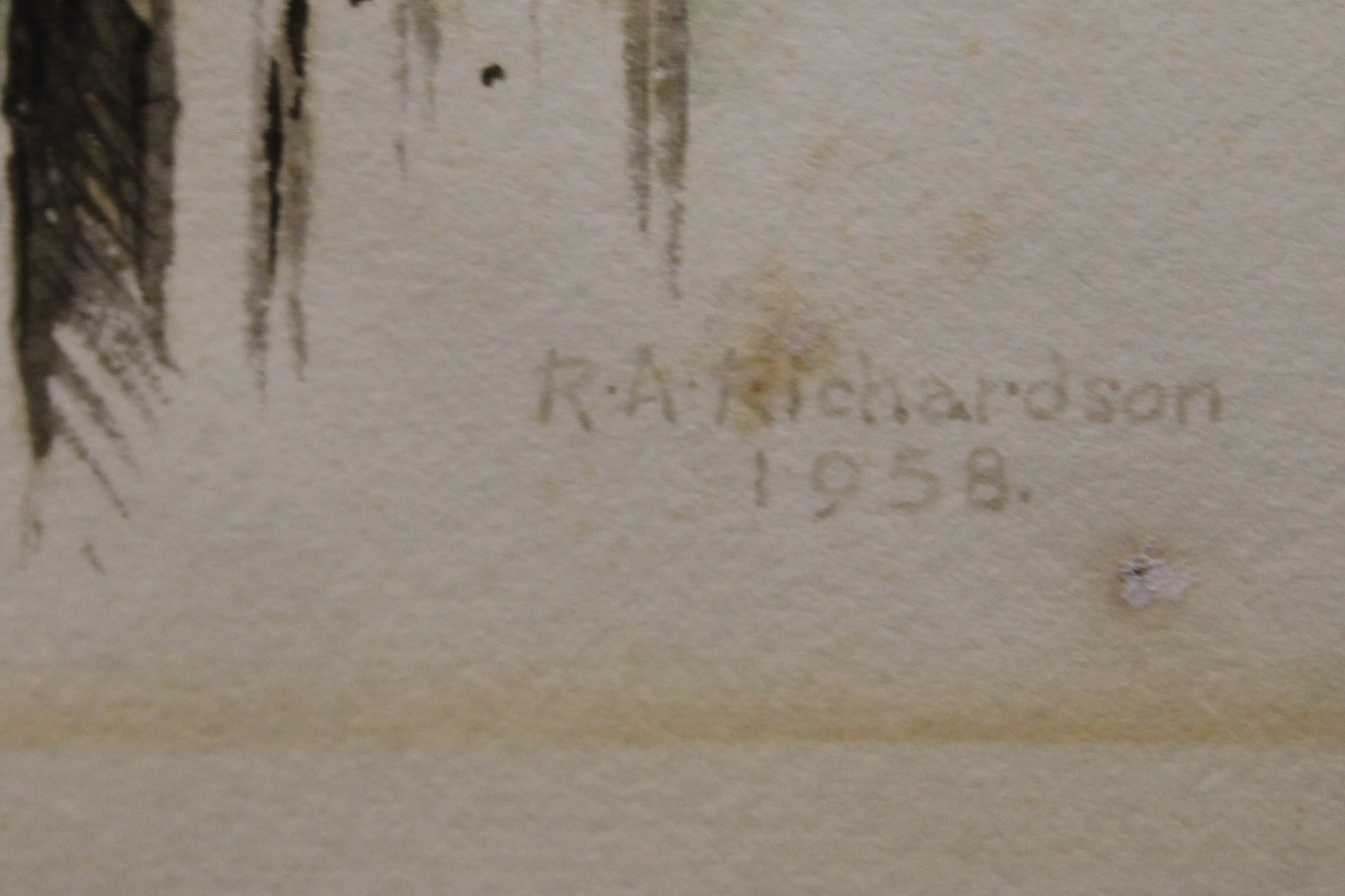 RICHARDSON, RICHARD ALLAN (1922-1977) British (AR), Sparrowhawk, watercolour, signed and dated 1958. - Bild 3 aus 3