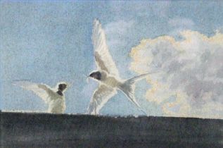 BUSBY, JOHN RSA RSW SWLA (1928-2015) British (AR), Swallows, watercolour, signed and dated '86,