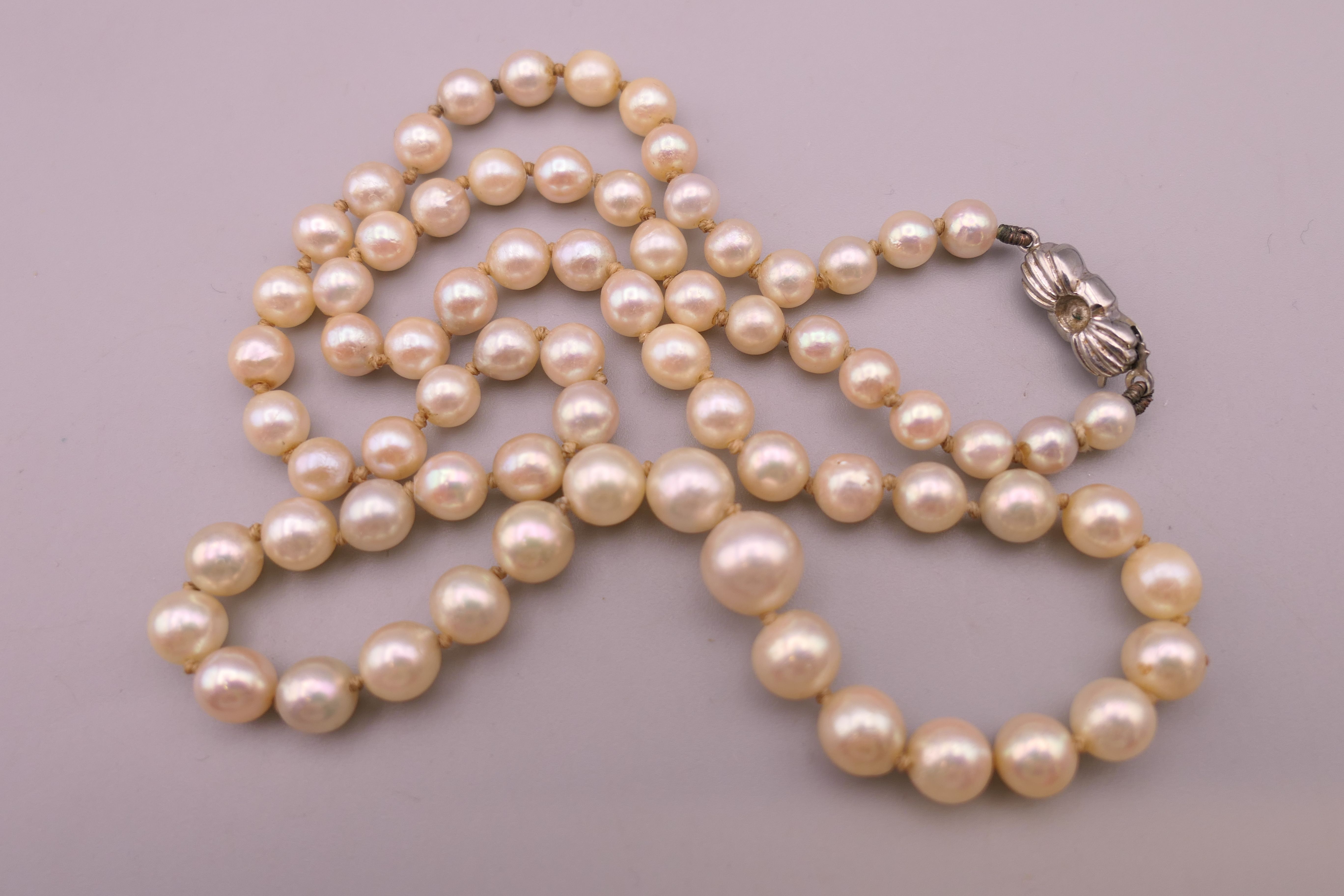A cameo brooch, a pearl necklace, a mourning brooch and a horseshoe form stick pin. - Image 7 of 9