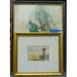 Two 19th century watercolours, and a print of exotic birds, each framed and glazed.