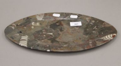 A polished fossil platter. 36.5 cm long.