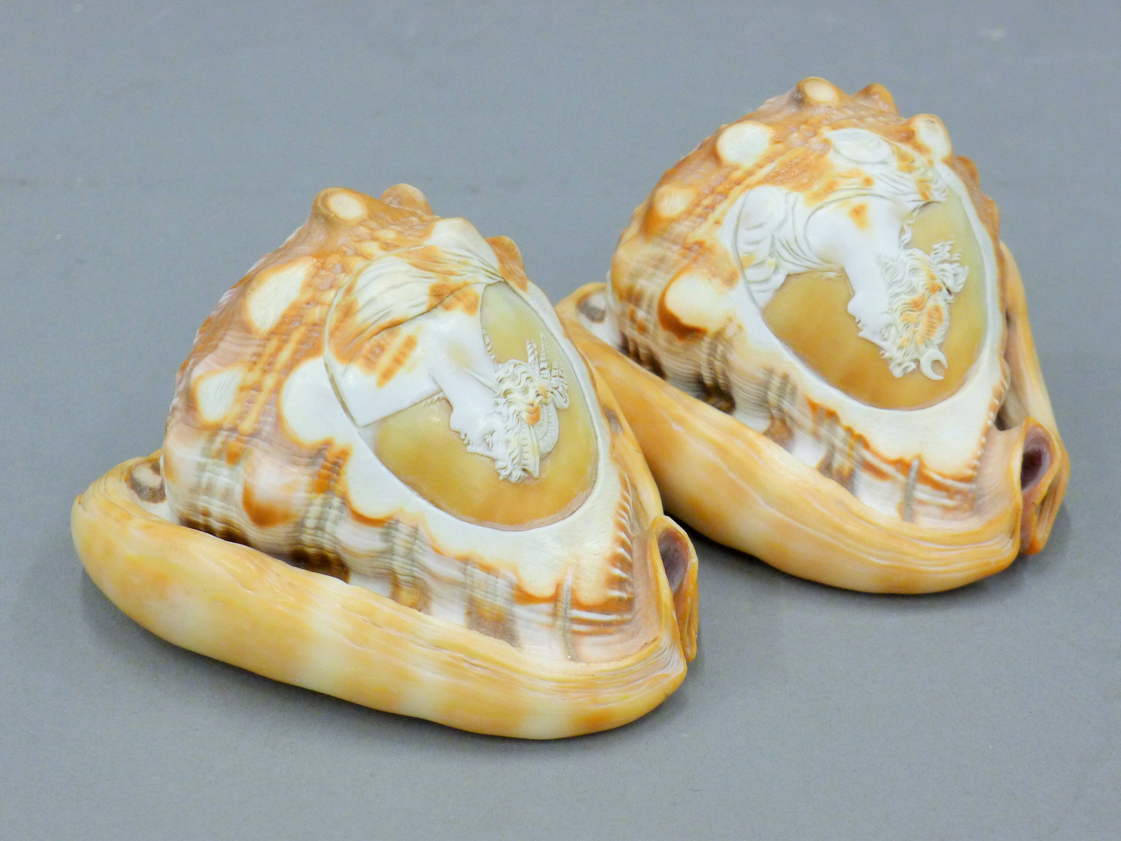 Two 19th century carved cameo shells,