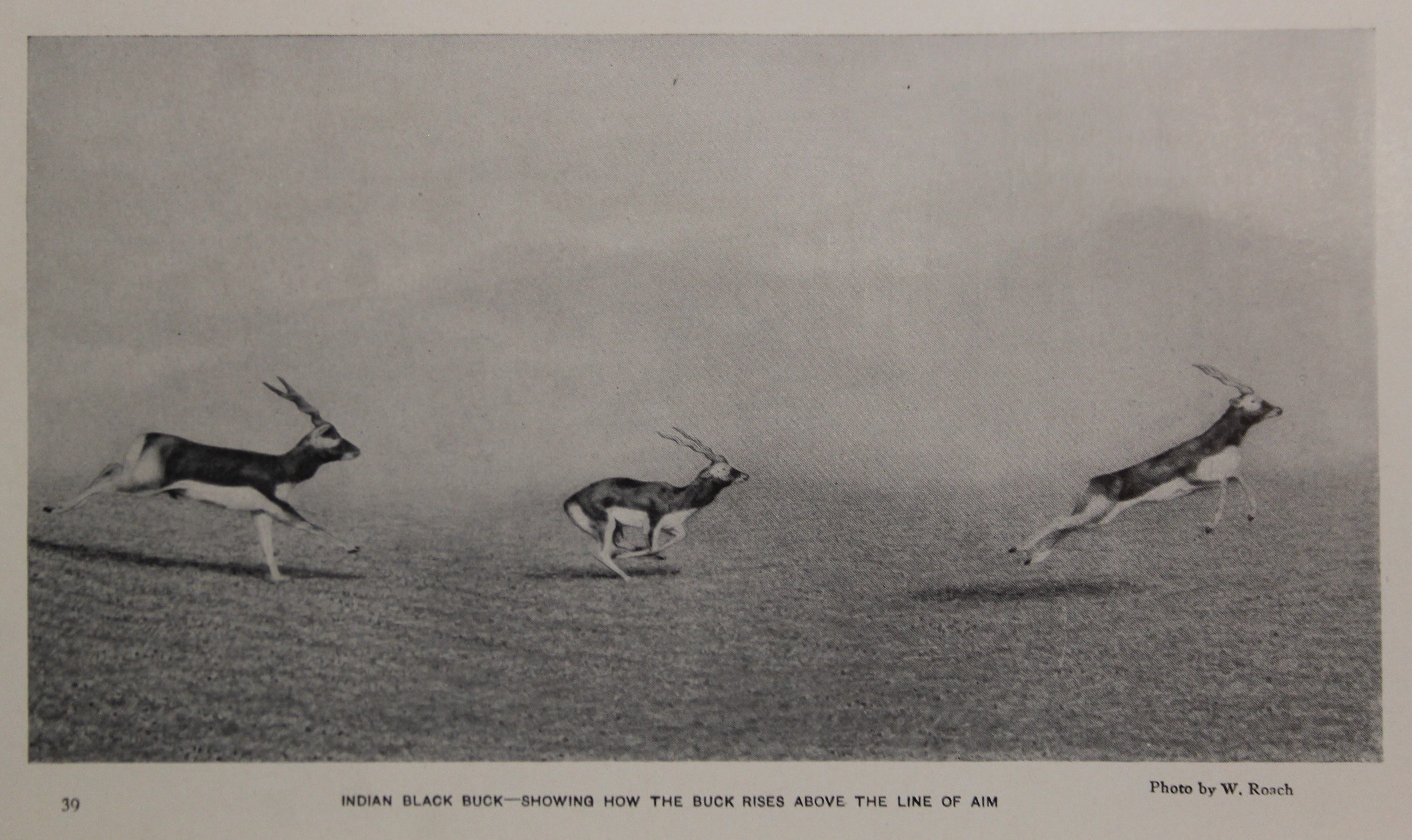 Walter Winans, The Sporting Rifle, 1908. - Image 6 of 6