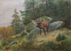 Stag in woodland, oil on canvas, indistinctly signed. Framed. 102 x 74.5 cm.