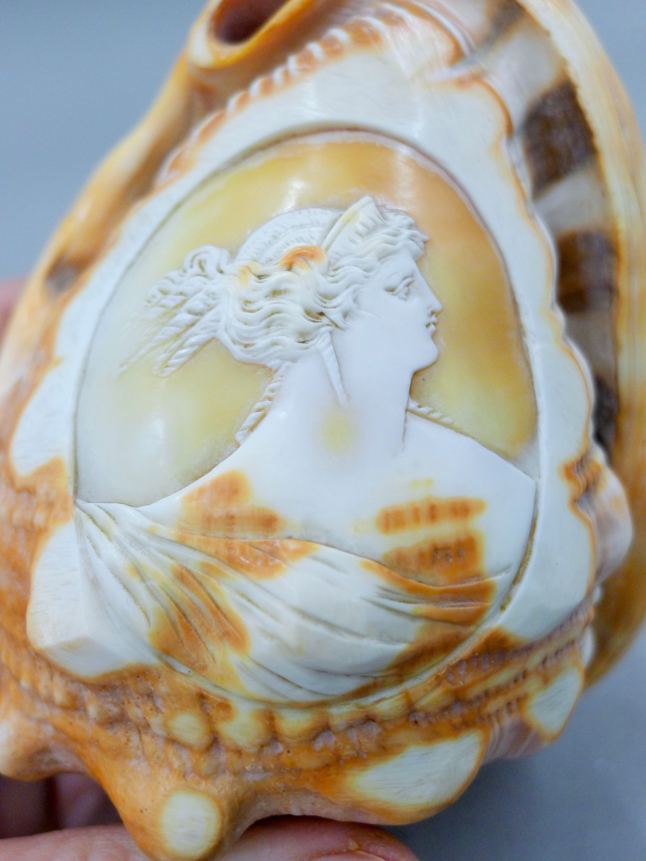 Two 19th century carved cameo shells, - Image 4 of 4