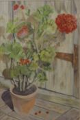 JOAN YOUELL, Red Geranium, gouache, framed and glazed. 36.5 x 54.5 cm.