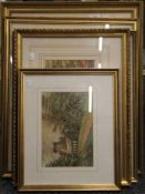 Fiver various 19th century watercolours of Country Scenes, each framed and glazed. The largest 49.