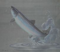 HAVERS, TIM (20th century) British (AR), four signed limited edition prints depicting The Salmon,