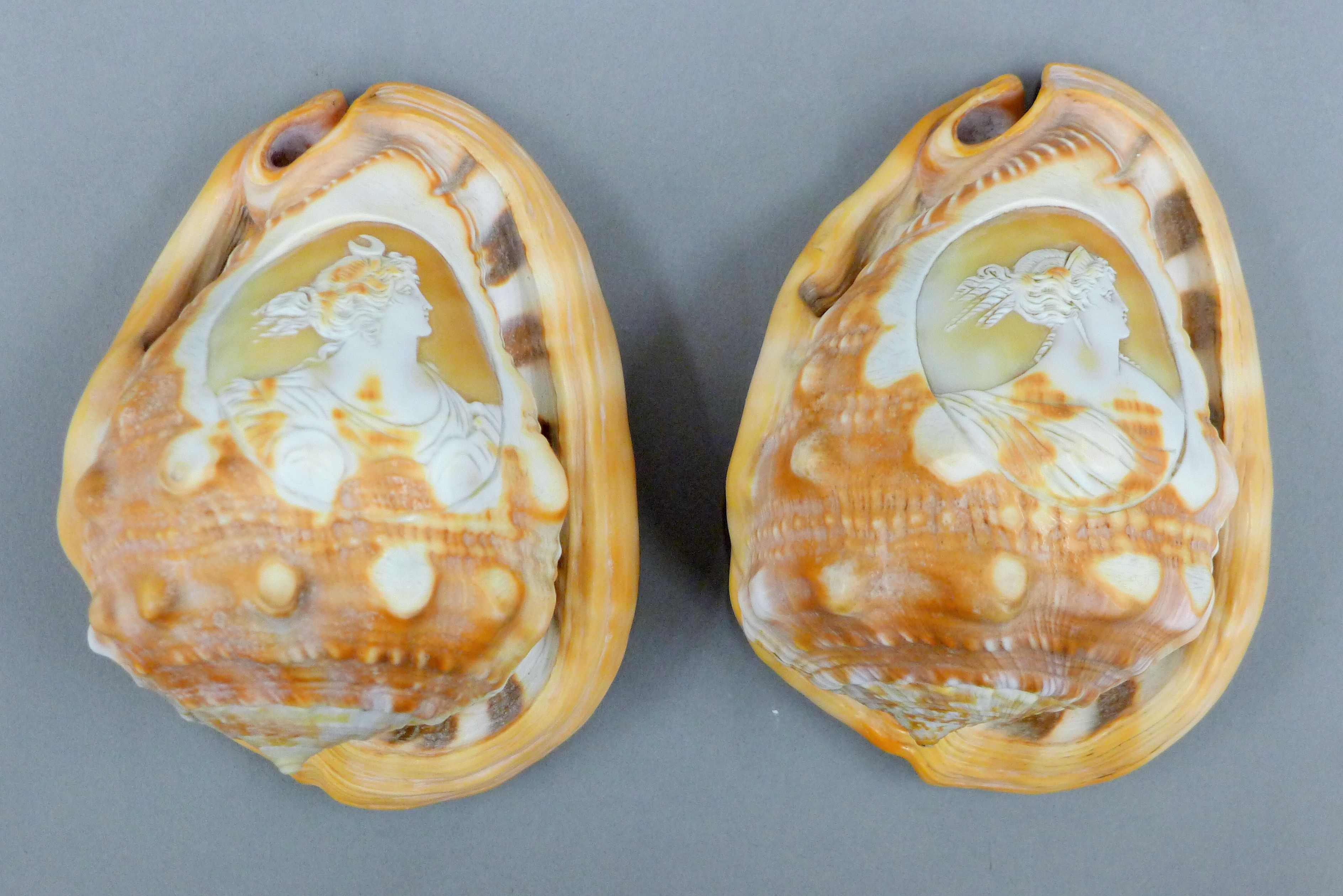 Two 19th century carved cameo shells, - Image 2 of 4
