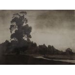 Woodland at Dusk, print, framed and glazed. 21 x 16 cm.