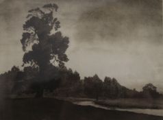 Woodland at Dusk, print, framed and glazed. 21 x 16 cm.