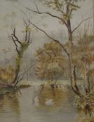 L BRADY, Swans on a River, watercolours, signed and dated 1899, framed and glazed. 27 x 36.5 cm.
