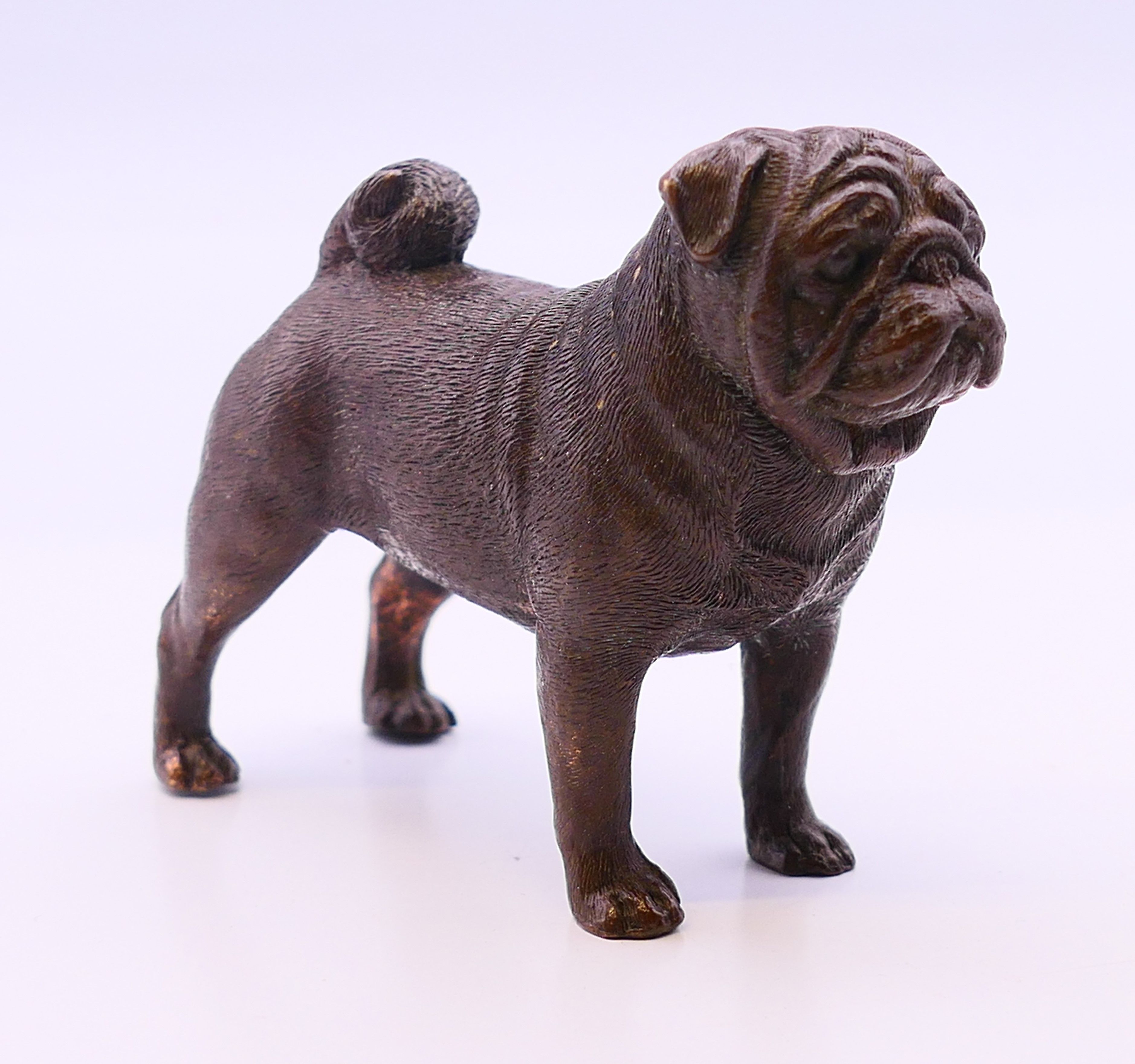 A bronze pug dog. 6 cm high.