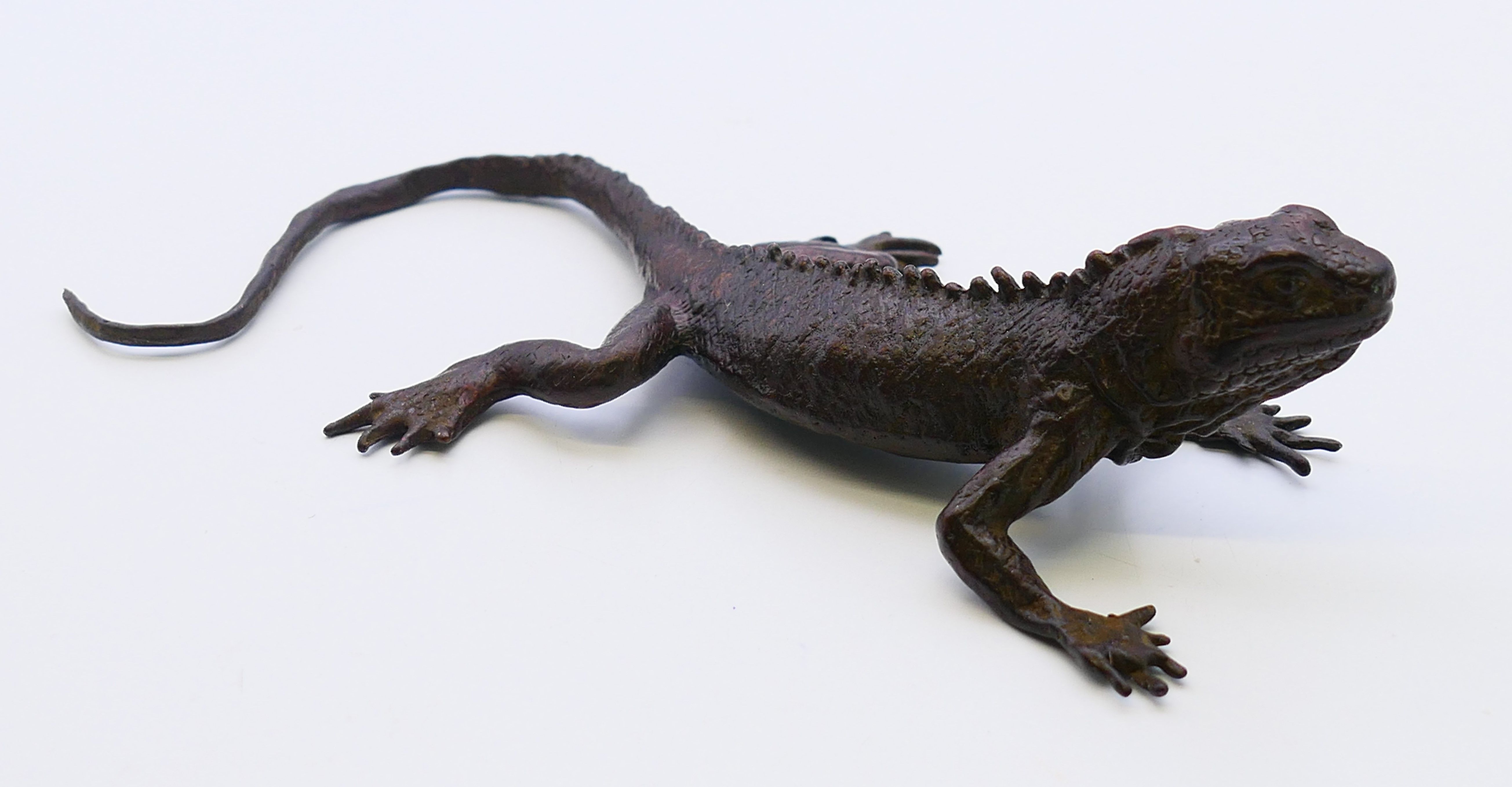 A bronze model of a lizard. 15 cm long. - Image 2 of 4