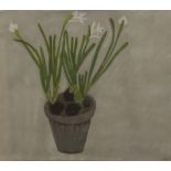 ANGELA A'COURT (AR), Paper Whites, signed, pastel, framed and glazed. 56.5 x 49.5 cm.