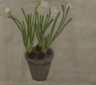 ANGELA A'COURT (AR), Paper Whites, signed, pastel, framed and glazed. 56.5 x 49.5 cm.