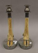 A pair of preserve taxidermy deer slot candle sticks. 37 cm high.