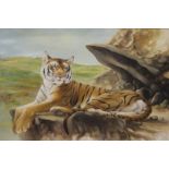JOEL KIRK (born 1948), Recumbent Tiger, oil on canvas, framed. 90.5 x 59.5 cm.