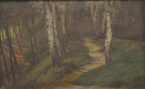 Forest Path, oil on canvas, indistinctly signed, oil on canvas, framed. 49 x 30.5 cm.