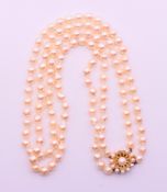 A pearl two-strand necklace with a 9 ct gold clasp. 50 cm long.