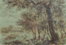 GERALD OSOSKI (1903-1981) British, Trees Study, brush, wash and ink drawing, framed and glazed.