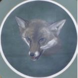 A Victorian print of a fox mask, housed in a circular gilt frame. 58.5 cm diameter overall.