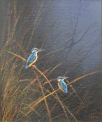 MIKE NANCE (British), Kingfishers, acrylic on canvas board, signed, framed. 29 x 24 cm.