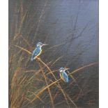 MIKE NANCE (British), Kingfishers, acrylic on canvas board, signed, framed. 29 x 24 cm.