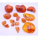 A quantity of amber. Lizard amber 10 cm x 6 cm.