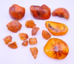 A quantity of amber. Lizard amber 10 cm x 6 cm.
