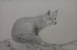 A pencil sketch of a fox, inscribed 'To Bob, Keith Slater. March '96', framed and glazed. 48.5 x 31.