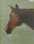 E M BARKER, Portrait of a Horse, oil, framed and glazed. 34.5 x 44.5.