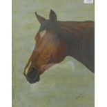 E M BARKER, Portrait of a Horse, oil, framed and glazed. 34.5 x 44.5.