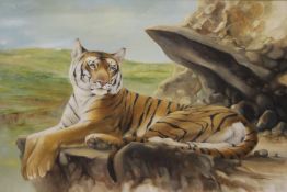 JOEL KIRK (born 1948), Recumbent Tiger, oil on canvas, framed. 90.5 x 59.5 cm.