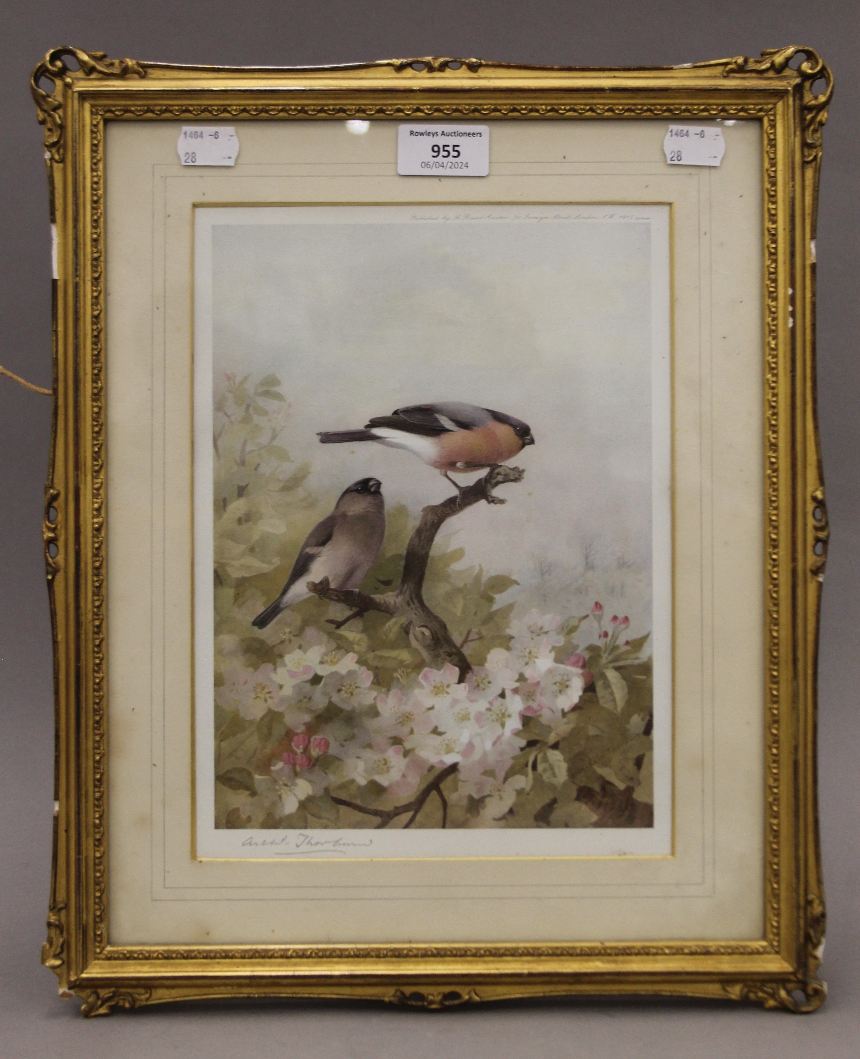 ARCHIBALD THORBURN, Birds amongst Blossom, print, signed in pencil to the margin, framed and glazed. - Image 2 of 3