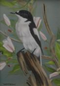 CHRISTOPHER WATSON (20th century) British, Male Pied Flycatcher, oil on canvas, framed. 15.5 x 11.