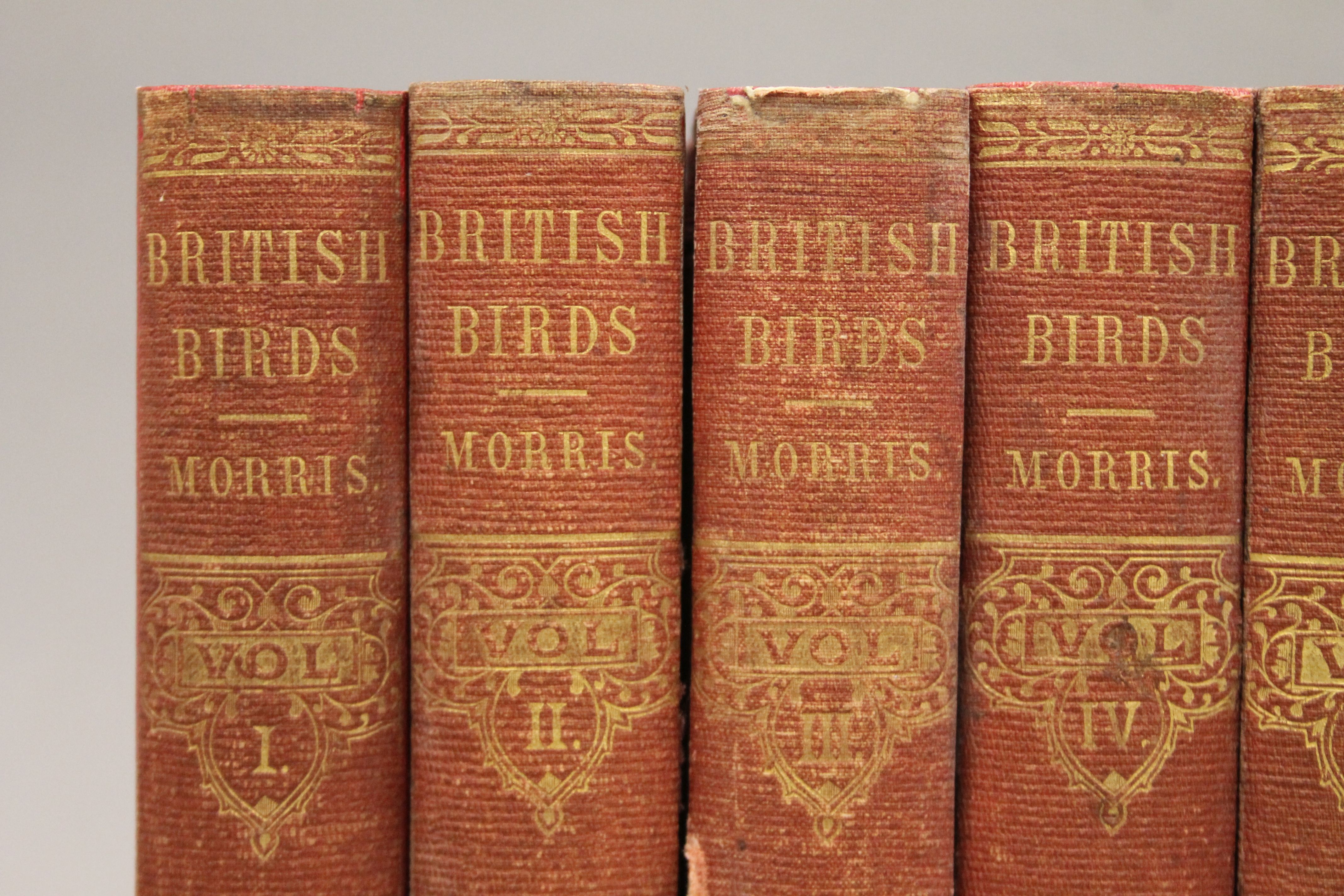 Eight volumes of A History of British Birds by the Rev F O Morris BA, - Image 2 of 12