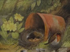 REGINALD HARRY AUSTIN (early 20th century), Robin, Nest and Eggs, watercolour, signed,