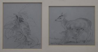 EILEEN A SOPER (1905-1990), A Mouse together with Doe and Fawn, both pencil sketches,