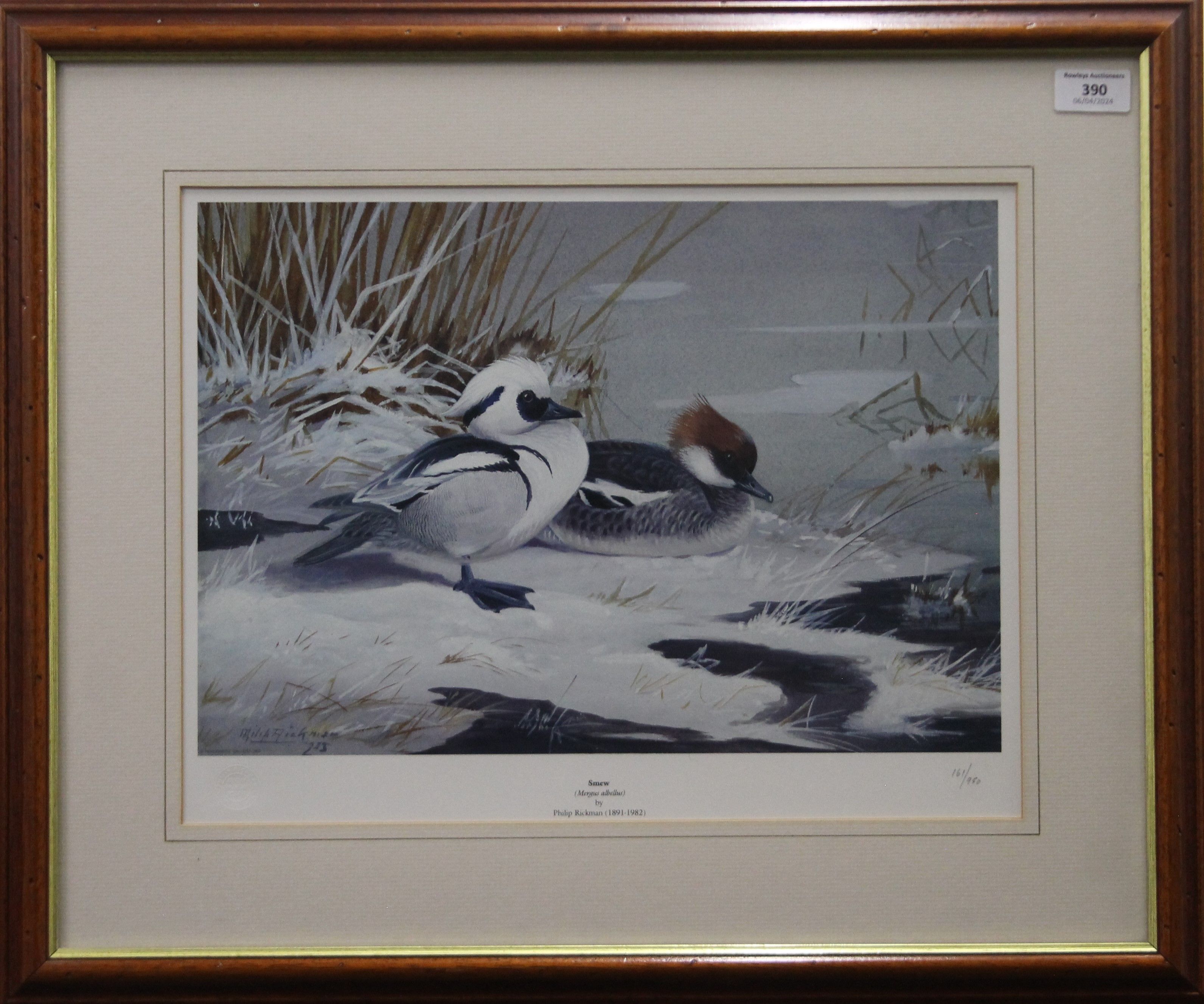 Two limited edition prints of ducks (Smew and White Faced Whistling Ducks) and two other prints, - Image 2 of 8