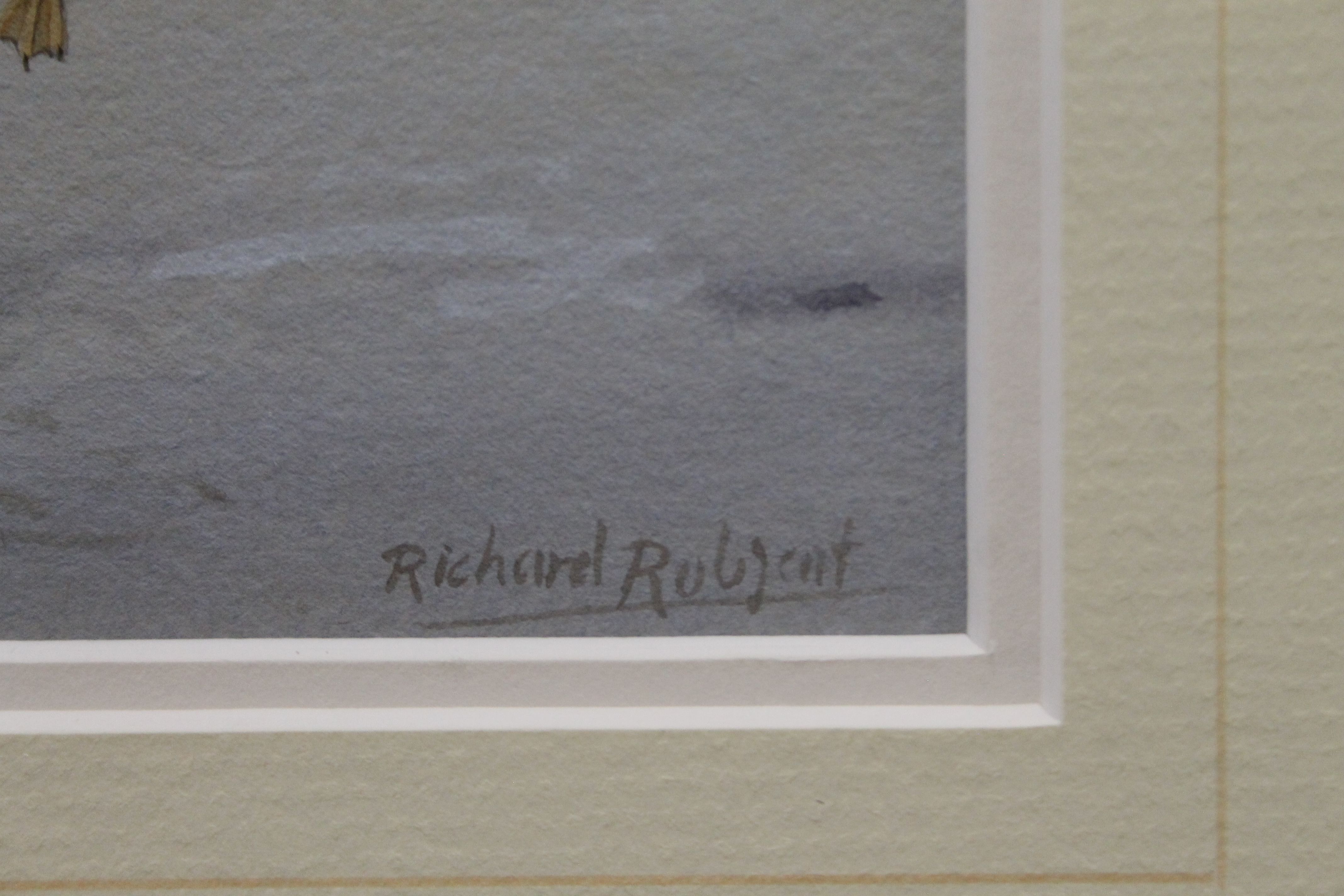 RICHARD ROBJENT (born 1937), Gadwall - Frozen Out, watercolour, signed, framed and glazed. 25. - Image 3 of 3