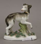 A 19th century porcelain model of a greyhound/whippet modelled wearing a coursing collar,