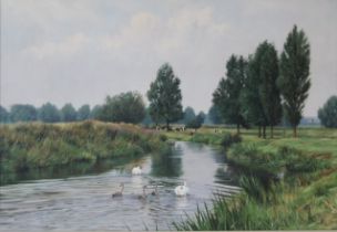 PETER BARKER (born 1954) British, Swan Family on Nene Backwater, oil on canvas,