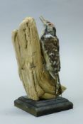 A taxidermy specimen of a preserved lesser-spotted woodpecker (Dryobates minor) mounted on a tree
