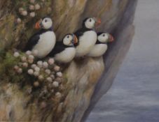 NEIL COX, Puffins, watercolour, signed, framed and glazed. 42 x 32 cm.
