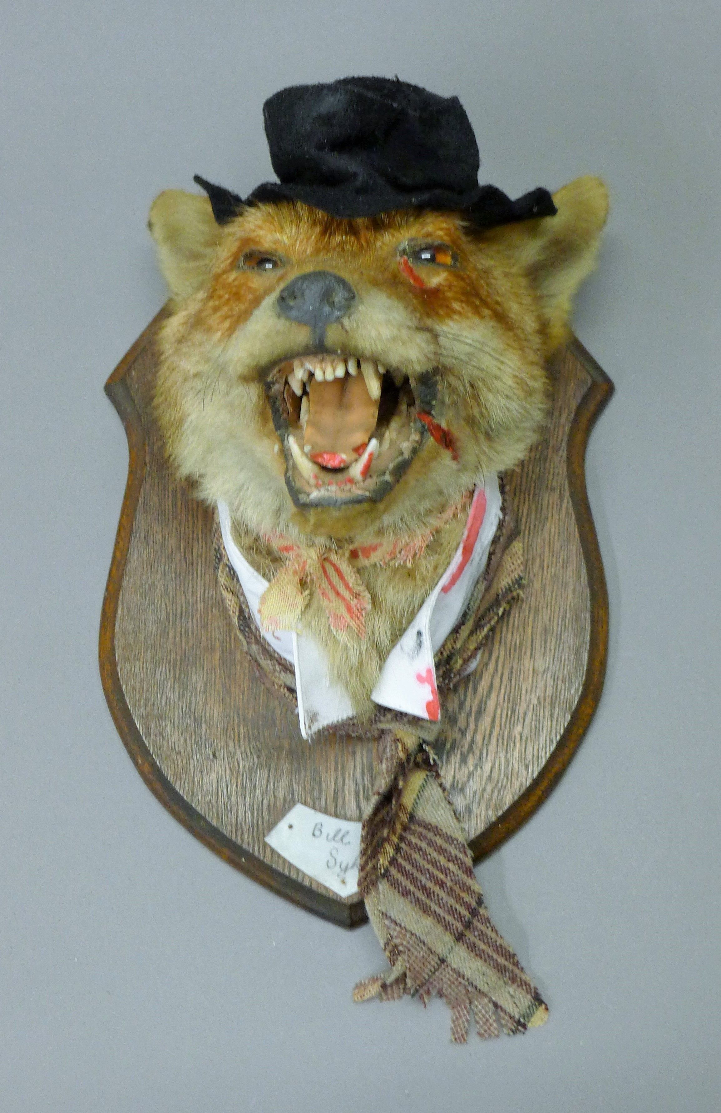 A taxidermy specimen of a preserved anthropomorphic fox mask (Vulpes vulpes) - Bill Sykes from - Image 3 of 3