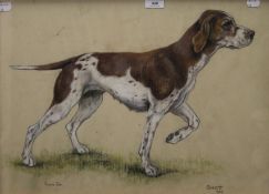 MARJORIE COX (1915-2003), Shot - Portrait of a Foxhound, pastel, dated 1962, signed,