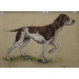 MARJORIE COX (1915-2003), Shot - Portrait of a Foxhound, pastel, dated 1962, signed,