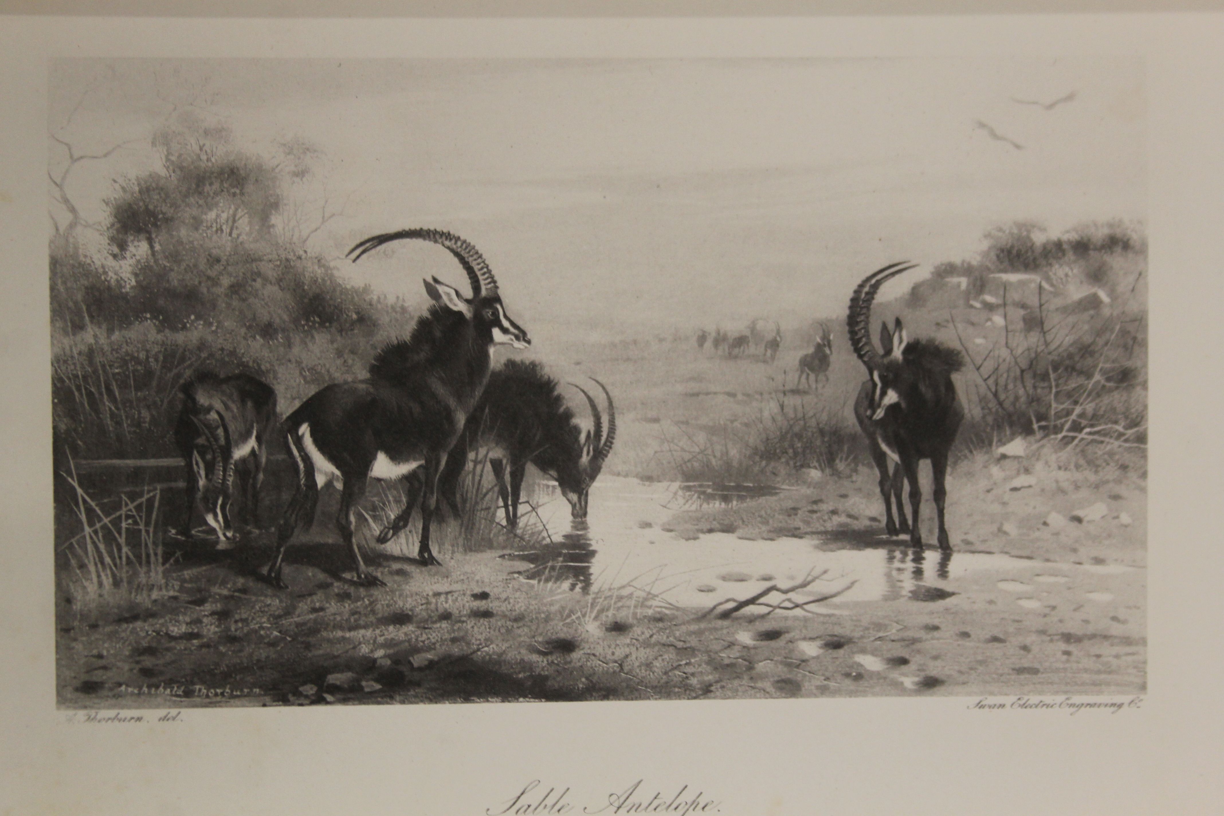 A quantity of various books pertaining to field sports, - Image 11 of 35